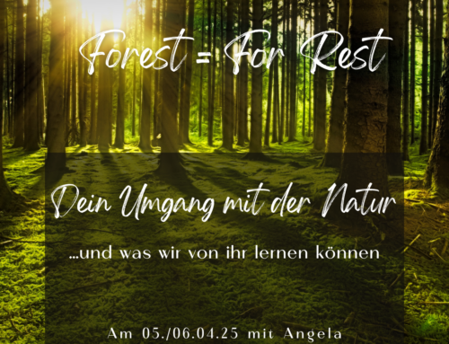 “Dein Umgang mit der Natur – und was du von ihr lernen kannst” mit Angela am 05./06.04.